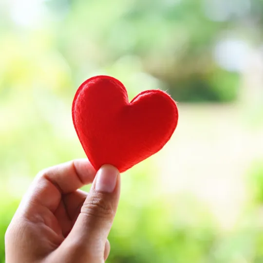 Hand holding up a heart