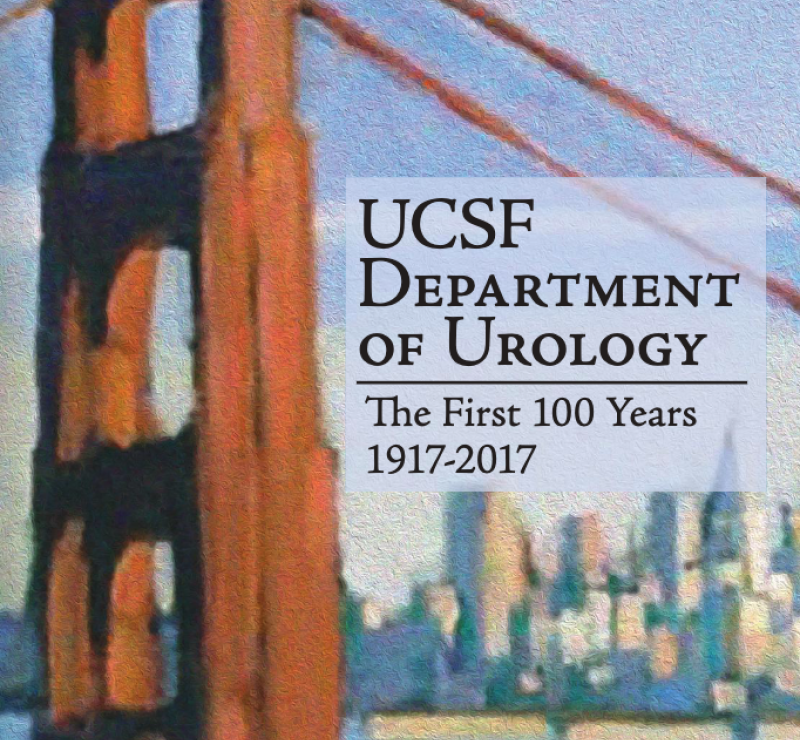 First 100 Years flipbook cover with bridge